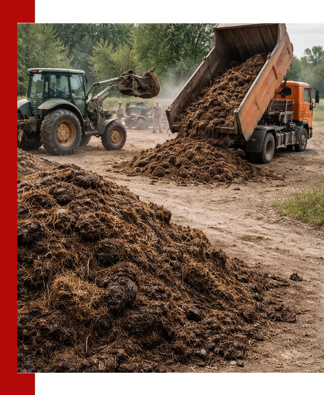 Доставка навоза самосвалами в Алексеевке для сельхозпотребностей