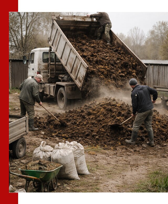 Доставка коровьего навоза самосвалом в Алексеевке